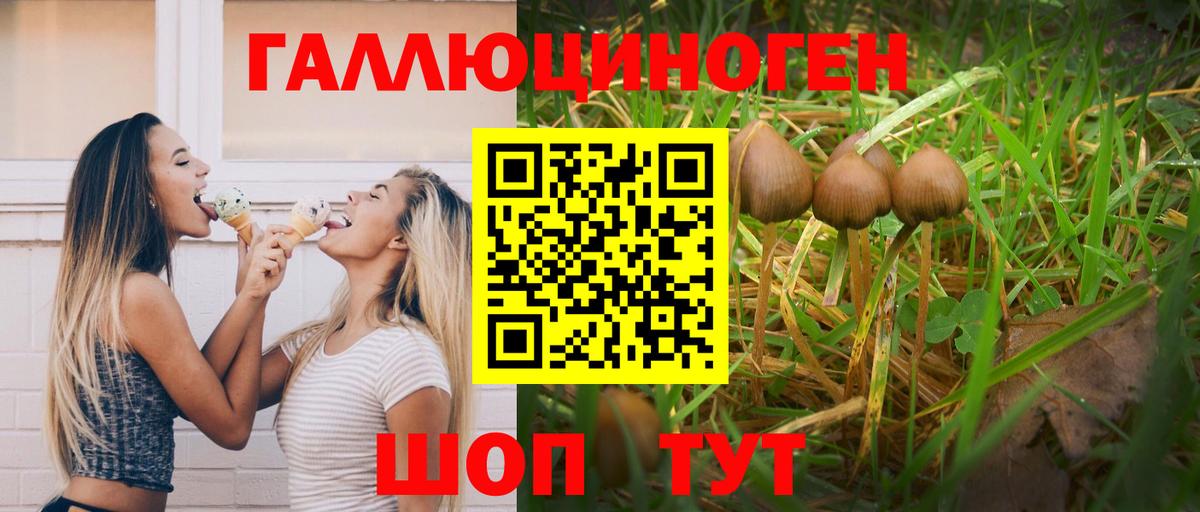 Менделеевск  Псилоцибиновые грибы MAGIC MUSHROOMS  Псилоцибиновые грибы прущие грибы  Вход с VPN 